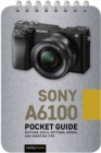 Sony a6100: Pocket Guide - Book