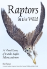 Raptors in the Wild : A Visual Essay of Hawks, Eagles, Falcons and More - eBook