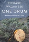 One Drum : Stories and Ceremonies for a Planet - eBook