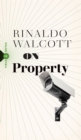 On Property : Policing, Prisons, and the Call for Abolition - Book