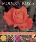 Modern Roses - Book