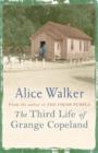 The Third Life of Grange Copeland - eBook