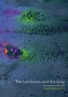 The Luminous and the Grey - eBook
