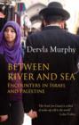 Between River and Sea : Encounters in Israel and Palestine - Book