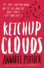 Ketchup Clouds - Book
