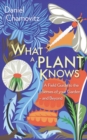 What a Plant Knows : A Field Guide to the Senses of Your Garden - and Beyond - eBook