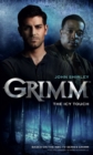 Grimm: The Icy Touch - Book