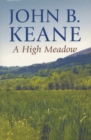 A High Meadow - eBook