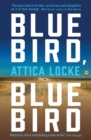 Bluebird, Bluebird - Book