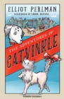 The Adventures of Catvinkle - eBook