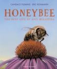 Honeybee : The Busy Life of Apis Mellifera - Book