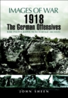 1918 : The German Offensives - eBook