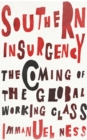 Southern Insurgency : The Coming of the Global Working Class - eBook
