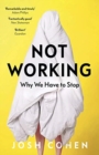Not Working : Why We Have to Stop - Book