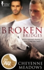 Broken Bridges - eBook
