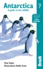 Antarctica : A Guide to the Wildlife - eBook