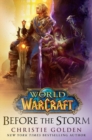 World of Warcraft: Before the Storm - Book