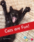 Cats are Fun! : Phonics Phase 4 - Book