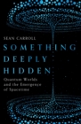 Something Deeply Hidden : Quantum Worlds and the Emergence of Spacetime - eBook