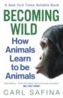 Becoming Wild : How Animals Learn to be Animals - Book