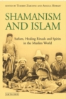 Shamanism and Islam : Sufism, Healing Rituals and Spirits in the Muslim World - eBook