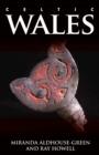 Celtic Wales - eBook
