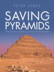 Saving the Pyramids : Twenty First Century Engineering and Egypts Ancient Monuments - eBook