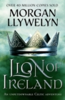 Lion of Ireland : An unputdownable Celtic adventure - eBook