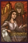 Labyrinth - Tarot Deck and Guidebook - Book