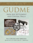 Gudme : Iron Age Settlement and Central Halls - Book