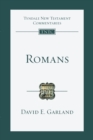 Romans : An Introduction and Commentary - Book