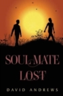 Soul Mate Lost - Book