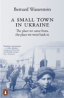 A Small Town in Ukraine : The place we came from, the place we went back to - eBook