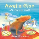 Awel a Glan a'r Picnic Coll - Book