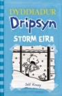 Dyddiadur Dripsyn: Storm Eira - eBook