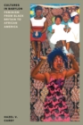 Cultures in Babylon : Feminism from Black Britain to African America - Book