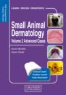 Small Animal Dermatology, Advanced Cases : Self-Assessment Color Review - eBook
