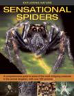 Exploring Nature : Sensational Spiders: A Comprehensive Guide to Some of the Most Intriguing Creatures in the Animal Kingdom, with Over 220 Pictures - Book