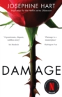 Damage : INSPIRATION FOR THE NETFLIX SERIES OBSESSION - Book