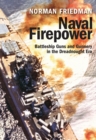 Naval Firepower : Battleship Guns and Gunnery in the Dreadnought Era - eBook