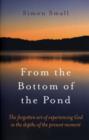 From the Bottom of the Pond - The forgotten art of experiencing God in the depths of the present moment - Book