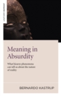 Meaning in Absurdity - What bizarre phenomena can tell us about the nature of reality - Book