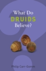 What Do Druids Believe? - eBook