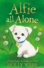 Alfie All Alone - Book