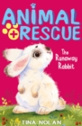 The Runaway Rabbit - eBook