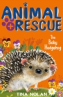 The Baby Hedgehog - eBook