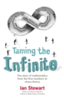 Taming the Infinite : The Story of Mathematics - Book
