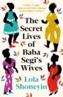 The Secret Lives of Baba Segi's Wives - eBook