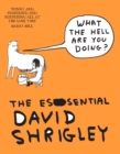 What The Hell Are You Doing?: The Essential David Shrigley - Book