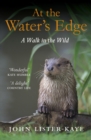 At the Water's Edge : A Walk in the Wild - eBook